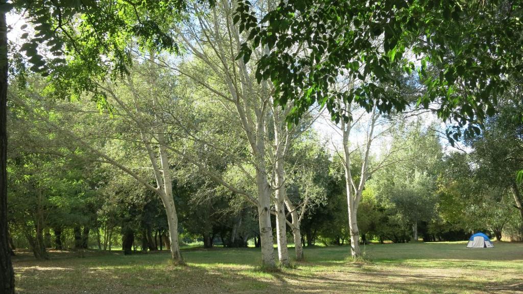 Camping Paradis Bellerive Montfrin Zewnętrze zdjęcie
